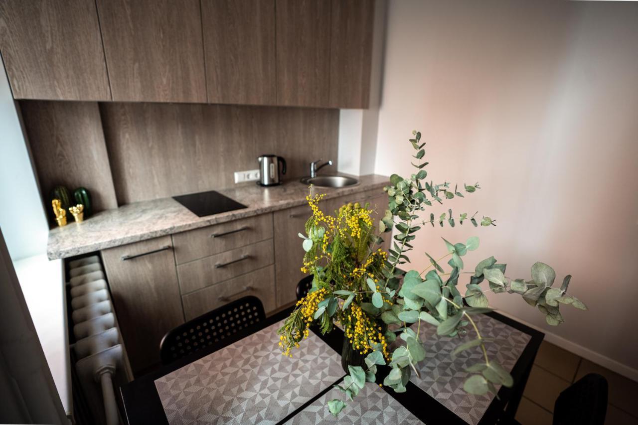 Lovely Apartment In The City Center Kaunas Extérieur photo